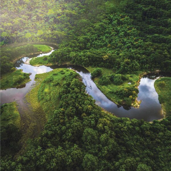 Amazonas